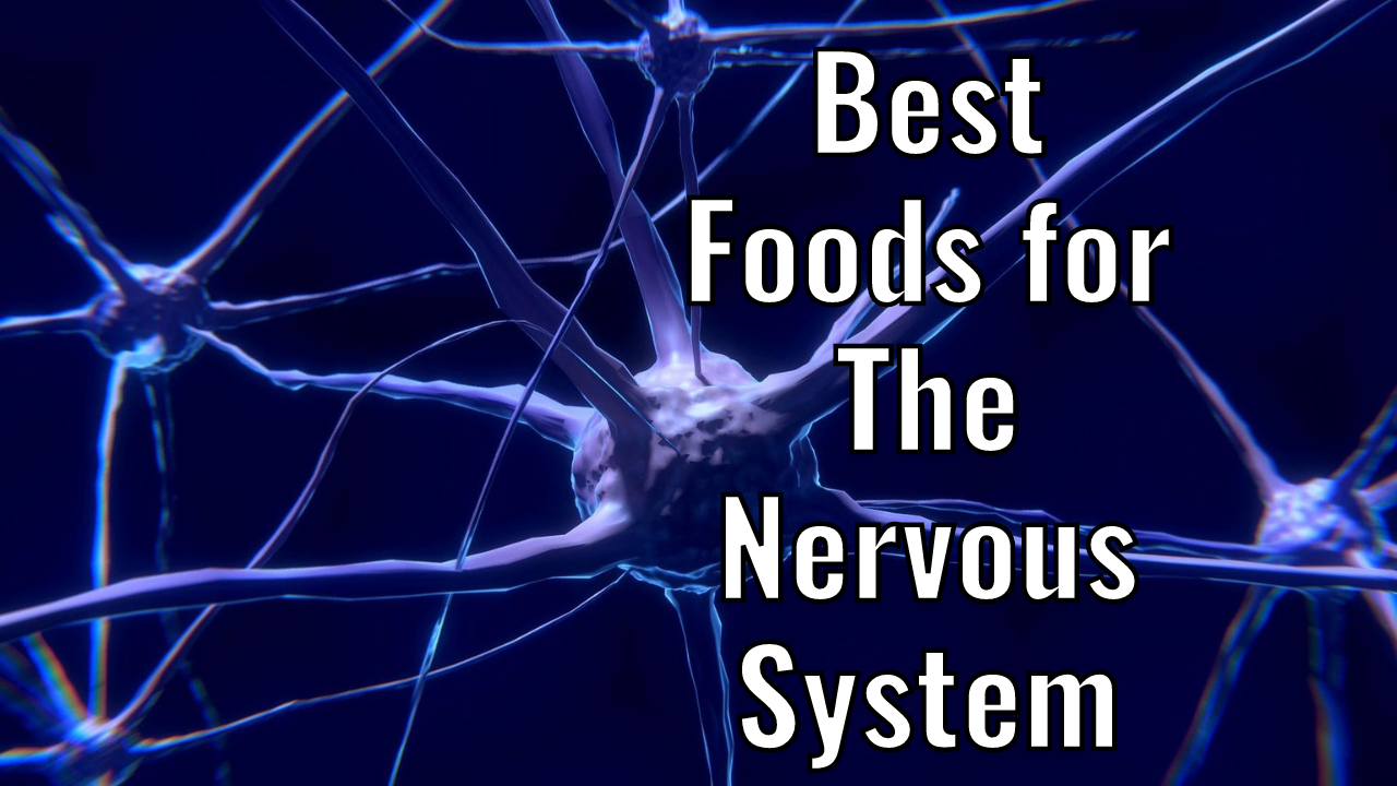 Best Foods for The Nervous System