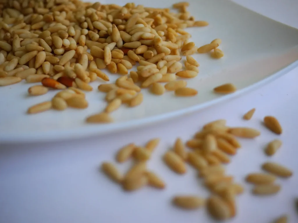 Pine Nuts by Leila Issa
@leila_myphotography; Food for the nervous system