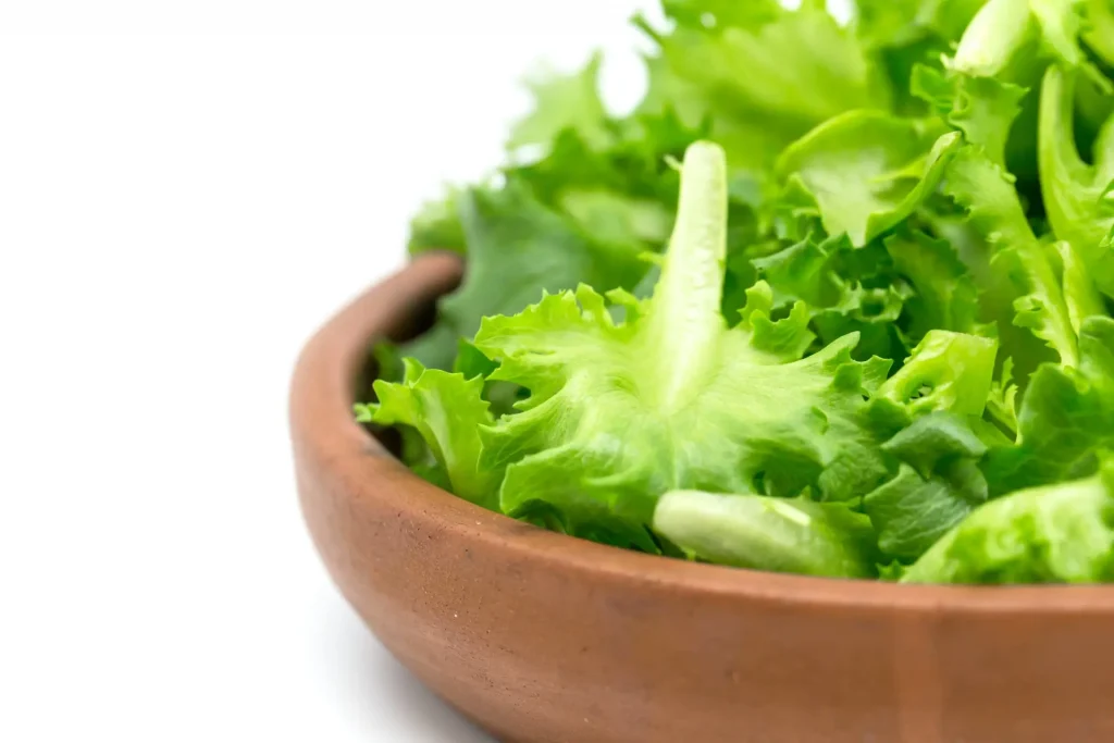 Lettuce by Petr Magera; Food for your nervous system.